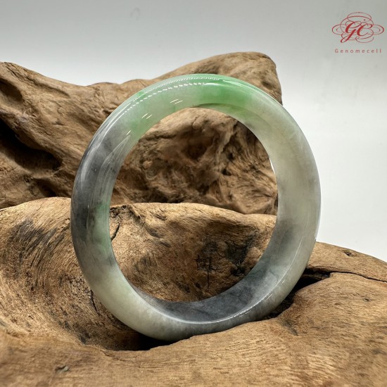 【肌容雪】天然緬甸A貨冰正陽綠烏雞翡翠平安鐲 編號381(鐲圍56mm#17.5號) 【肌容雪】天然緬甸A貨冰正陽綠烏雞翡翠平安鐲 編號381(鐲圍56mm#17.5號)