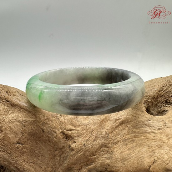 【肌容雪】天然緬甸A貨冰正陽綠烏雞翡翠平安鐲 編號381(鐲圍56mm#17.5號) 【肌容雪】天然緬甸A貨冰正陽綠烏雞翡翠平安鐲 編號381(鐲圍56mm#17.5號)