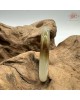 【肌容雪】天然緬甸A貨正冰福祿壽喜翡翠圓條手鐲 編號401(鐲圍54mm #17號) 【肌容雪】天然緬甸A貨正冰福祿壽喜翡翠圓條手鐲 編號401(鐲圍54mm #17號)