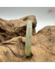 【肌容雪】天然緬甸A貨正冰福祿壽喜翡翠圓條手鐲 編號401(鐲圍54mm #17號) 【肌容雪】天然緬甸A貨正冰福祿壽喜翡翠圓條手鐲 編號401(鐲圍54mm #17號)