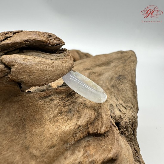 【肌容雪】天然緬甸A貨正冰春帶彩翡翠戒圈 編號418(戒圍16.8mm#10號)