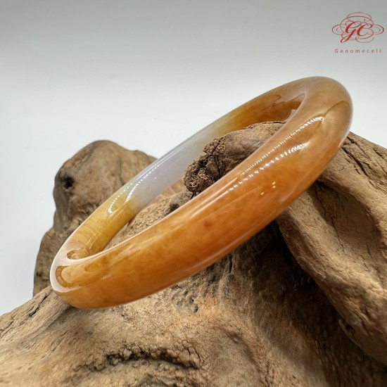 【肌容雪】天然緬甸A貨紫底黃翡翠圓條手鐲 編號420(鐲圍55.4mm#17.5號) 【肌容雪】天然緬甸A貨紫底黃翡翠圓條手鐲 編號420(鐲圍55.4mm#17.5號)