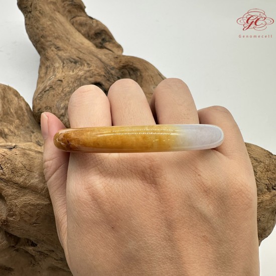 【肌容雪】天然緬甸A貨紫底黃翡翠圓條手鐲 編號420(鐲圍55.4mm#17.5號) 【肌容雪】天然緬甸A貨紫底黃翡翠圓條手鐲 編號420(鐲圍55.4mm#17.5號)