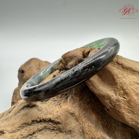 【肌容雪】天然緬甸A貨翡翠冰種綠飄花烏雞美人條手鐲 編號428(鐲圍54.6mm#17號)