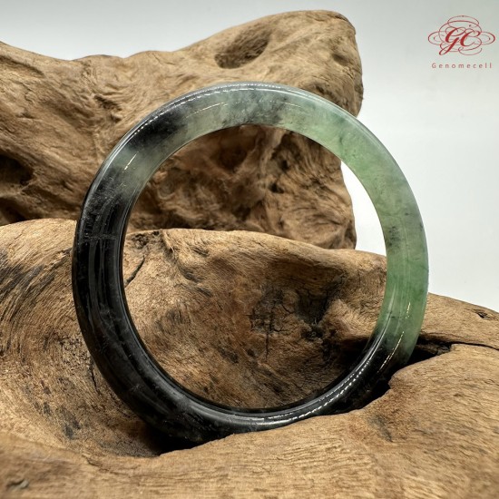 【肌容雪】天然緬甸A貨翡翠冰種綠飄花烏雞美人條手鐲 編號428(鐲圍54.6mm#17號)