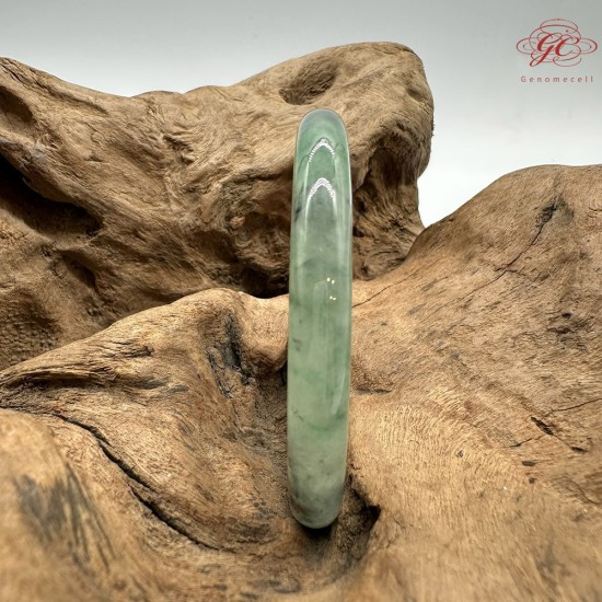 【肌容雪】天然緬甸A貨翡翠冰種綠飄花烏雞美人條手鐲 編號428(鐲圍54.6mm#17號)