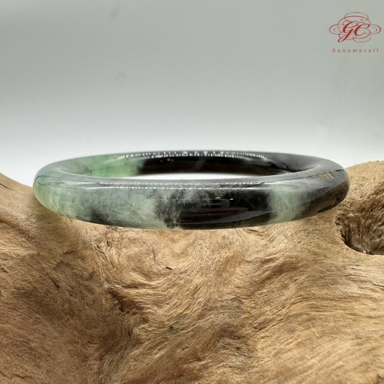 【肌容雪】天然緬甸A貨翡翠冰種綠飄花烏雞美人條手鐲 編號428(鐲圍54.6mm#17號)