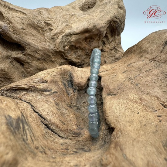 【肌容雪】天然緬甸A貨烏雞翡翠手串 編號512