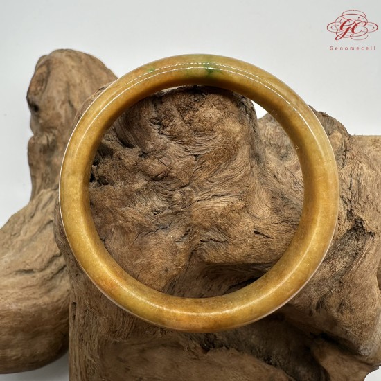 【肌容雪】天然緬甸A貨冰黃翡翠平安鐲 編號553(鐲圍55.4mm#17.5號)