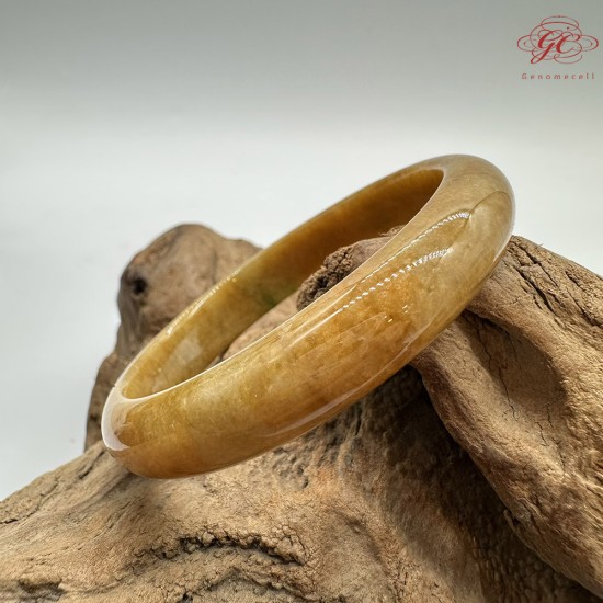 【肌容雪】天然緬甸A貨冰黃翡翠平安鐲 編號553(鐲圍55.4mm#17.5號)