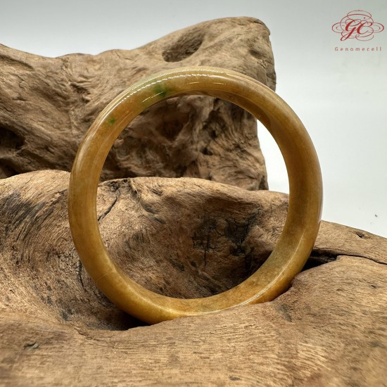 【肌容雪】天然緬甸A貨冰黃翡翠平安鐲 編號553(鐲圍55.4mm#17.5號)