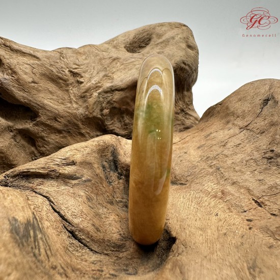 【肌容雪】天然緬甸A貨冰黃翡翠平安鐲 編號553(鐲圍55.4mm#17.5號)