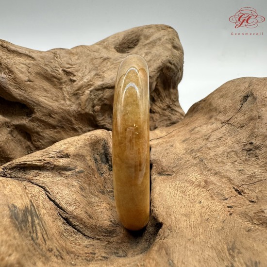 【肌容雪】天然緬甸A貨冰黃翡翠平安鐲 編號553(鐲圍55.4mm#17.5號)