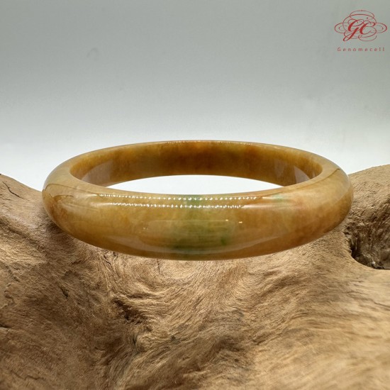 【肌容雪】天然緬甸A貨冰黃翡翠平安鐲 編號553(鐲圍55.4mm#17.5號)