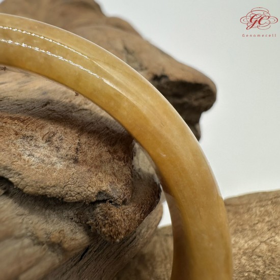 【肌容雪】天然緬甸A貨冰黃翡翠平安鐲 編號553(鐲圍55.4mm#17.5號)