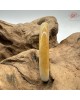 【肌容雪】天然緬甸A貨黃翡雙彩平安鐲 編號610(鐲圍57.3mm#18號) 【肌容雪】天然緬甸A貨黃翡雙彩平安鐲 編號610(鐲圍57.3mm#18號)