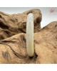 【肌容雪】天然緬甸A貨黃翡雙彩平安鐲 編號610(鐲圍57.3mm#18號) 【肌容雪】天然緬甸A貨黃翡雙彩平安鐲 編號610(鐲圍57.3mm#18號)