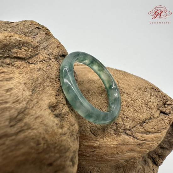 【肌容雪】天然緬甸A貨烏雞翡翠戒圈 編號611(戒圍18.6mm#15號)