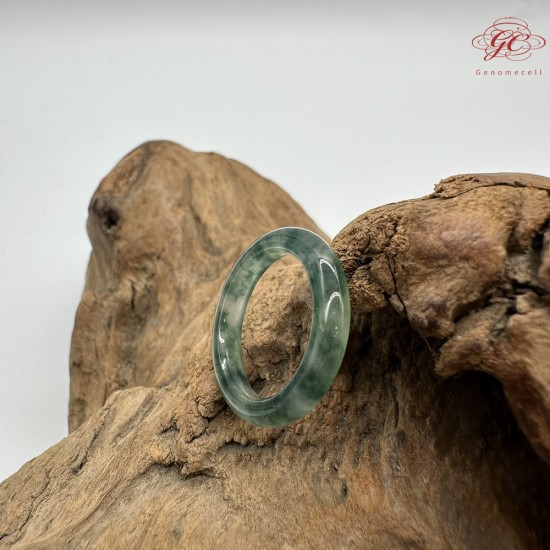 【肌容雪】天然緬甸A貨烏雞翡翠戒圈 編號611(戒圍18.6mm#15號)