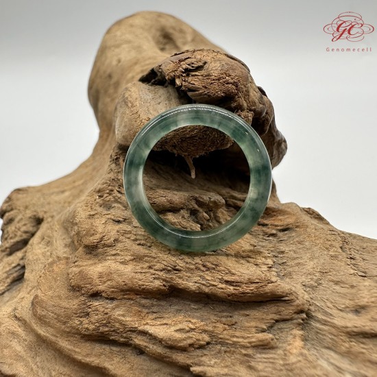 【肌容雪】天然緬甸A貨烏雞翡翠戒圈 編號611(戒圍18.6mm#15號)