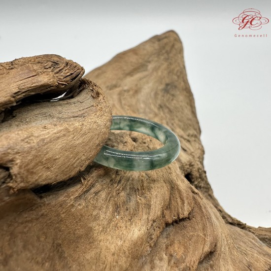 【肌容雪】天然緬甸A貨烏雞翡翠戒圈 編號611(戒圍18.6mm#15號)