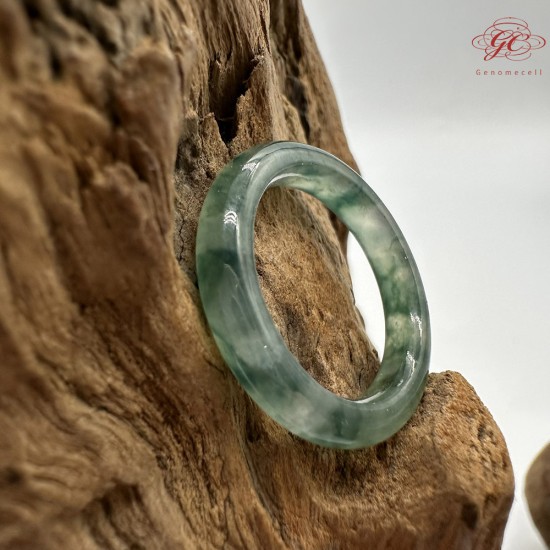 【肌容雪】天然緬甸A貨烏雞翡翠戒圈 編號611(戒圍18.6mm#15號)