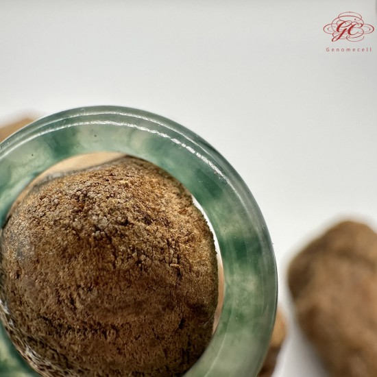 【肌容雪】天然緬甸A貨烏雞翡翠戒圈 編號611(戒圍18.6mm#15號)