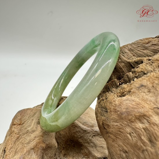 【肌容雪】天然緬甸A貨皇家綠翡翠圓條手鐲 編號612(鐲圍53.8mm#17號)