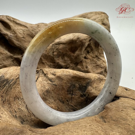 【肌容雪】天然緬甸A貨雞油黃烏雞翡翠圓條手鐲 編號614(鐲圍56.7mm#18號)