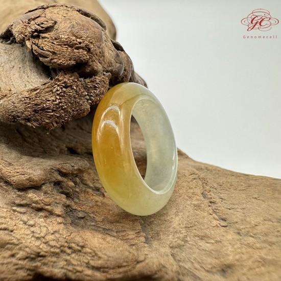 【肌容雪】天然緬甸A貨黃翡翠戒圈 編號637(戒圍15.9mm#9號)