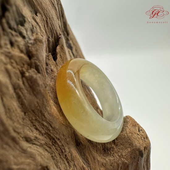 【肌容雪】天然緬甸A貨黃翡翠戒圈 編號637(戒圍15.9mm#9號)