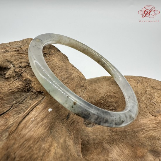 【肌容雪】天然緬甸A貨烏雞翡翠美人條手鐲 編號692(鐲圍54.3mm#17號)