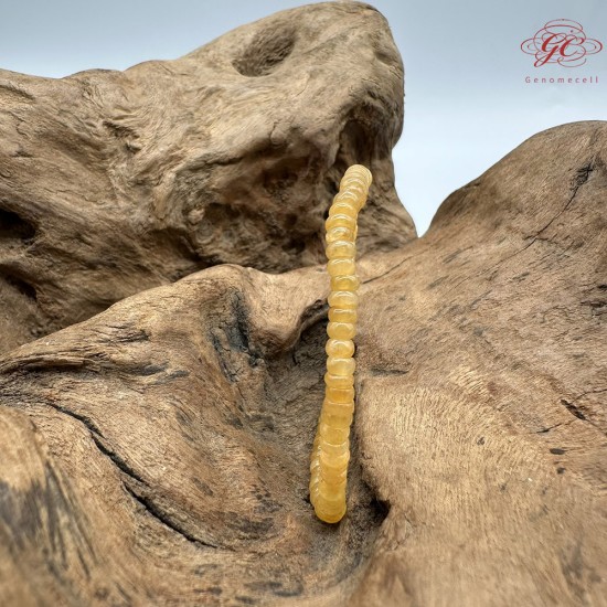 【肌容雪】天然緬甸A貨黃翡小米粒手串 編號715