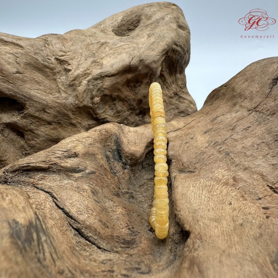 【肌容雪】天然緬甸A貨黃翡小米粒手串 編號715