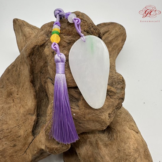 【肌容雪】天然緬甸A貨蠍子造型翡翠吊飾 編號727