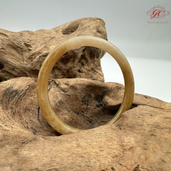 【肌容雪】天然緬甸A貨黃翡翠美人條手鐲 編號738(鐲寬53.5mm#17號)