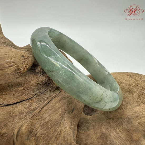 【肌容雪】緬甸天然A貨翡翠冰芹綠飄花平安鐲 編號748(鐲圍54.5mm#17號) 【肌容雪】緬甸天然A貨翡翠冰芹綠飄花平安鐲 編號748(鐲圍54.5mm#17號)