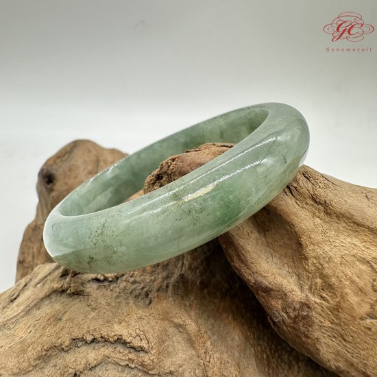 【肌容雪】緬甸天然A貨翡翠冰芹綠飄花平安鐲 編號748(鐲圍54.5mm#17號) 【肌容雪】緬甸天然A貨翡翠冰芹綠飄花平安鐲 編號748(鐲圍54.5mm#17號)