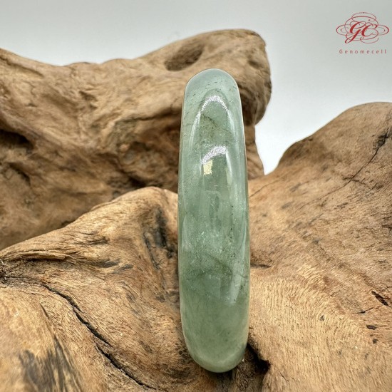 【肌容雪】緬甸天然A貨翡翠冰芹綠飄花平安鐲 編號748(鐲圍54.5mm#17號) 【肌容雪】緬甸天然A貨翡翠冰芹綠飄花平安鐲 編號748(鐲圍54.5mm#17號)
