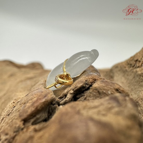 【肌容雪】天然緬甸A貨18K金翡翠葫蘆造型吊墜 編號749