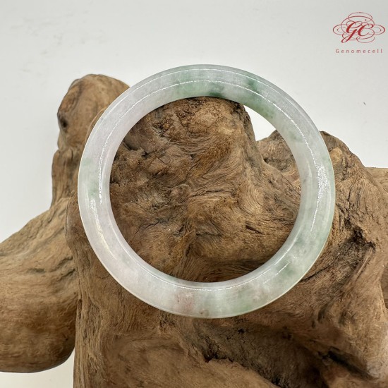 【肌容雪】天然緬甸A貨翡翠春彩圓條手鐲 編號753(鐲圍51.3mm#16號) 【肌容雪】天然緬甸A貨翡翠春彩圓條手鐲 編號753(鐲圍51.3mm#16號)