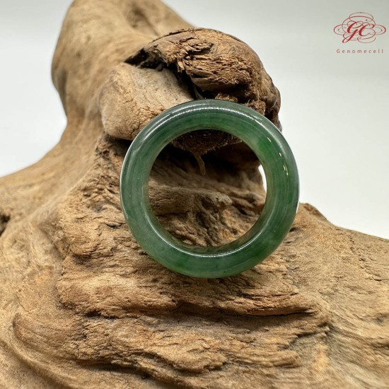 【肌容雪】天然緬甸A貨綠翡翠飄花戒圈 編號782(戒圍17.2mm#10號)