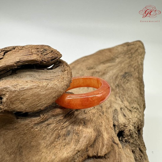 【肌容雪】天然緬甸A貨紅翡翠戒圈 編號793(戒圍17.4mm#12號)