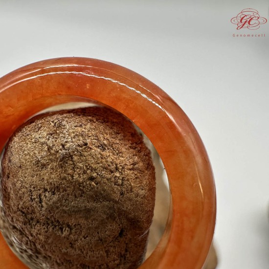 【肌容雪】天然緬甸A貨紅翡翠戒圈 編號793(戒圍17.4mm#12號)