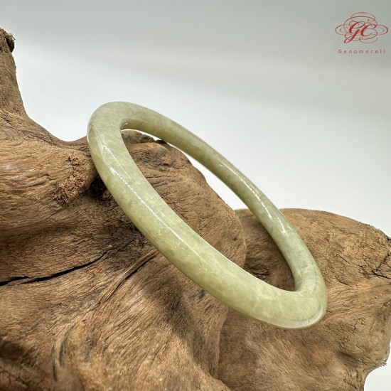 【肌容雪】天然緬甸A貨翡翠蘋果綠美人條手鐲 編號842(鐲圍59.8mm#19號)