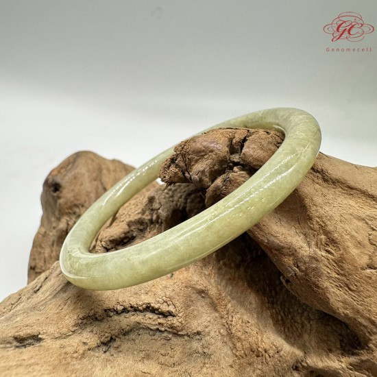 【肌容雪】天然緬甸A貨翡翠蘋果綠美人條手鐲 編號842(鐲圍59.8mm#19號)