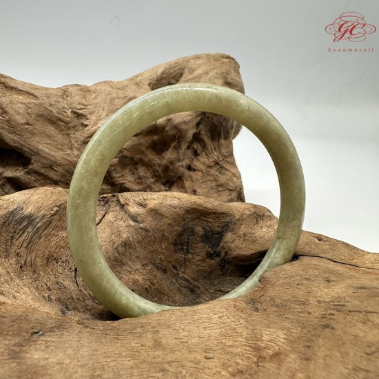 【肌容雪】天然緬甸A貨翡翠蘋果綠美人條手鐲 編號842(鐲圍59.8mm#19號)