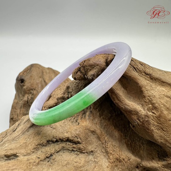 【肌容雪】天然緬甸A貨翡翠春彩貴妃鐲 編號844(鐲圍53.7mm#17號)