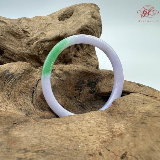 【肌容雪】天然緬甸A貨翡翠春彩貴妃鐲 編號844(鐲圍53.7mm#17號)