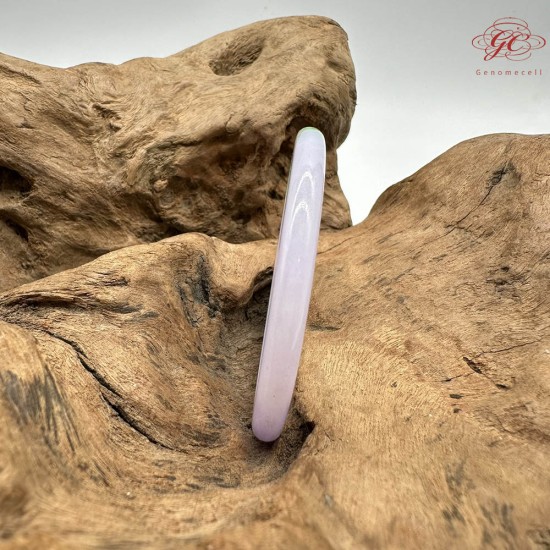 【肌容雪】天然緬甸A貨翡翠春彩貴妃鐲 編號844(鐲圍53.7mm#17號)